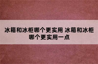 冰箱和冰柜哪个更实用 冰箱和冰柜哪个更实用一点